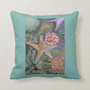 ConnecticutTidepool plats Kudde