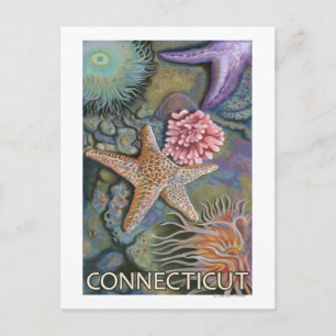 ConnecticutTidepool-scen Vykort