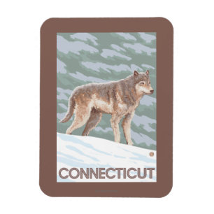 ConnecticutWolf plats Magnet