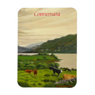 Connemara Irland Naturskön Nötkreatursgård med häs Magnet