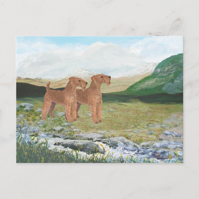Connemara landsbygd vykort (Framsida)