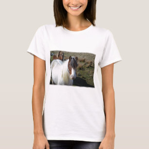 Connemara ponny tee shirt
