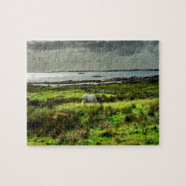 Connemara ponnyer Galway Irland. Pussel