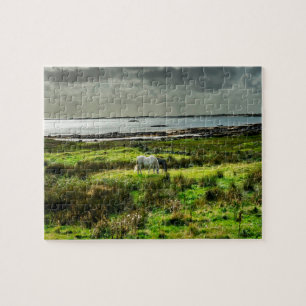 Connemara ponnyer Galway Irland. Pussel
