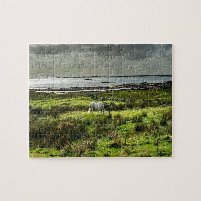 Connemara ponnyer Galway Irland. Pussel (Horisontell)