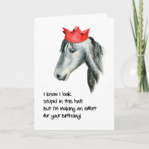 Connemara Pony Humous Birthday Card Kort