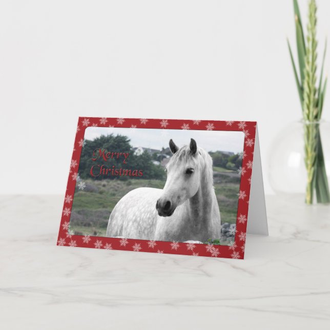 Connemara Pony-julkort Helgkort (Framsida)