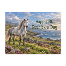Connemara Pony på den vindpinade irländska kusten