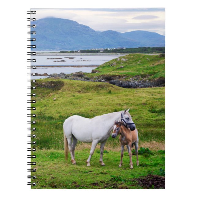 Connemaras hästar | Galway, Irland Anteckningsbok (Framsidan)