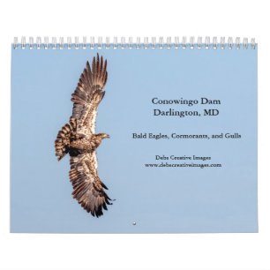 Conowingo Dam 2026 Kalender