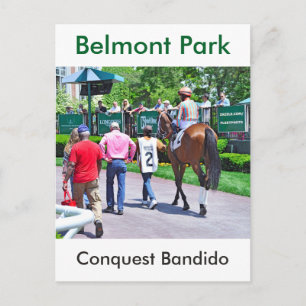 Conquest Bandido Vykort