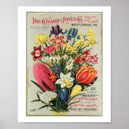 Conrad & Jones 1897 Ro och Plant Growers Poster