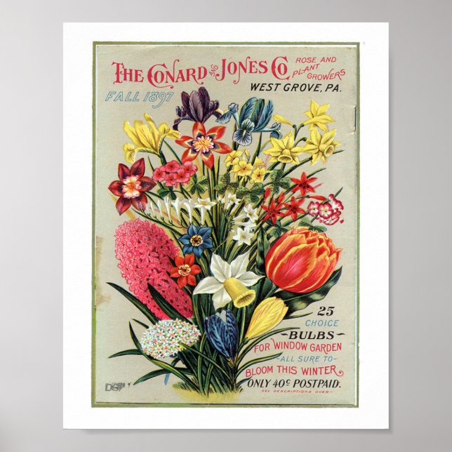 Conrad & Jones 1897 Ro och Plant Growers Poster (Framsidan)