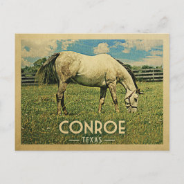 Conroe Texas Horse Farm-Vintage resor Vykort
