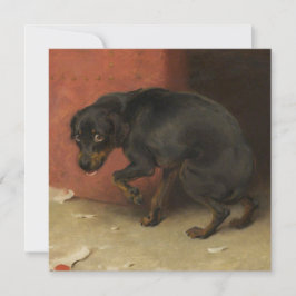 Conscience gör det möjligt för oss alla att få sky kort