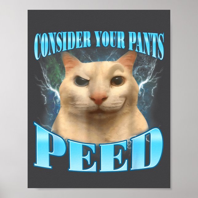 Consider Your Pants Peed Funny Freak Cat Meme Humo Poster (Framsidan)