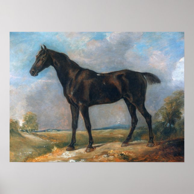 Constable - Golding's Black Riding-Horse Poster (Framsidan)