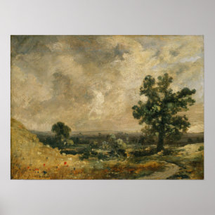 Constable - liggande poster