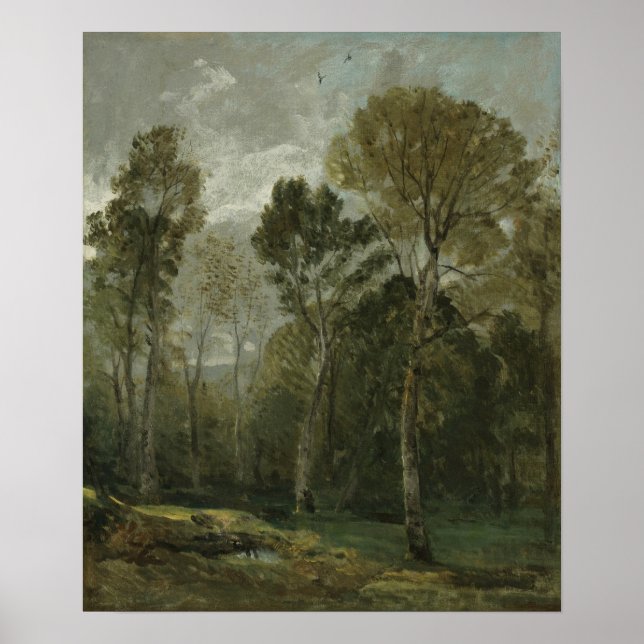 Constable - Utsikt över en snårskog Poster (Framsidan)