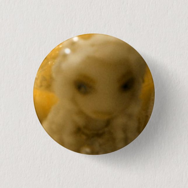 Constance Knapp (Framsida)