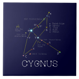 Constellation Cygnus Kakelplatta