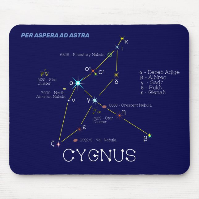 Constellation Cygnus Musmatta (Framsidan)