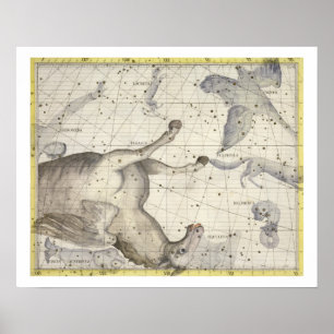 Constellation of Pegasus, plate 25 från Atlas Coe Poster
