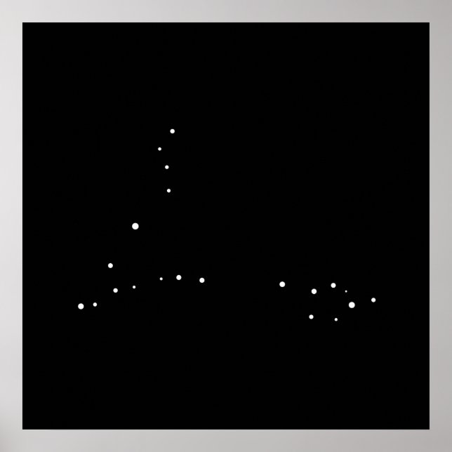 Constellation Pisces by Leslie Peppers Poster (Framsidan)