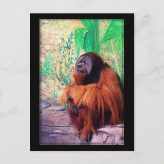 Contemplater - vykort