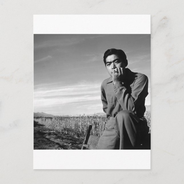Contemplation at Manzanar, 1943 Vykort (Framsida)