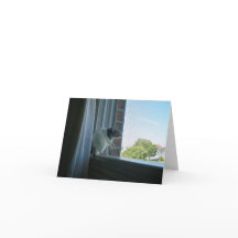 Contemplative Råtta "Wish you were here" Note Card