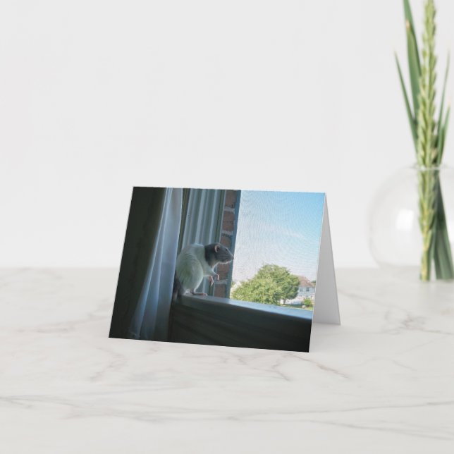 Contemplative Råtta "Wish you were here" Note Card Kort (Framsida)