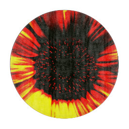 contemporary av stora solrosfrön och oljeväxtfrön