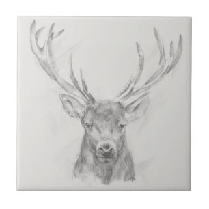 Contemporary Elk Sketch Kakelplatta