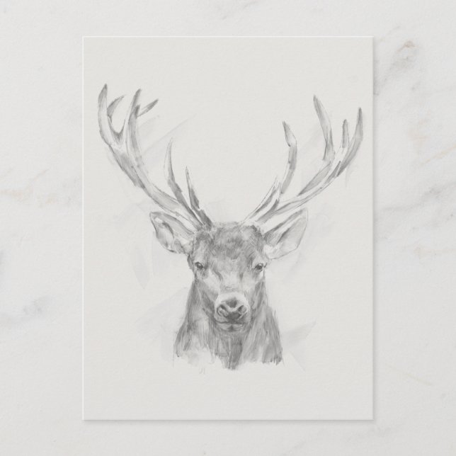 Contemporary Elk Sketch Vykort (Framsida)