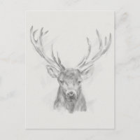 Contemporary Elk Sketch