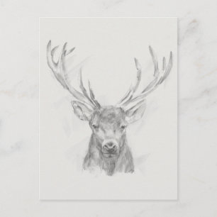 Contemporary Elk Sketch Vykort