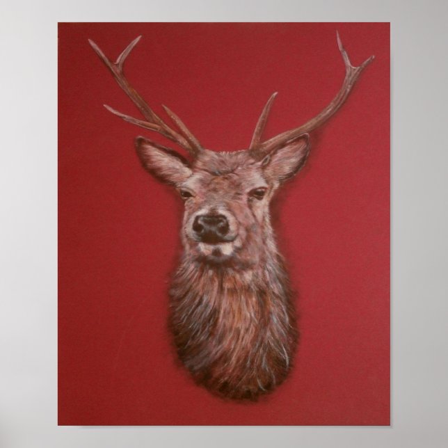 Contemporary Highland Red Hjort Stag Poster (Framsidan)