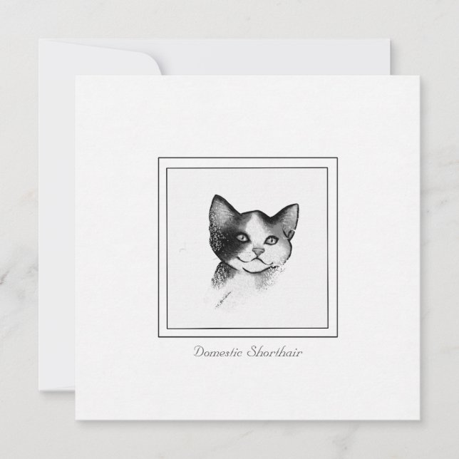 Contemporary Kattskiss av Domestic Shorthair Anteckningskort (Framsida)