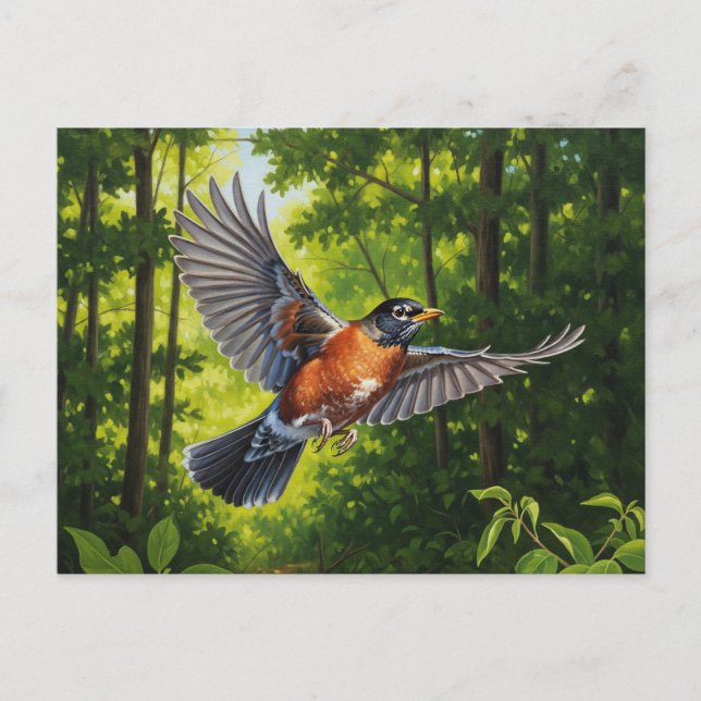 Conticut State Bird American Robin Vykort (Framsida)