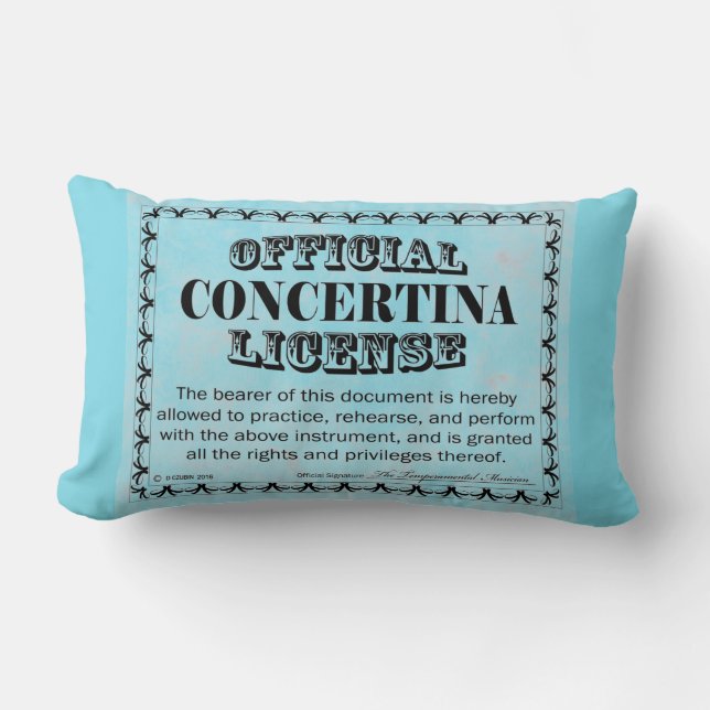 Contina Licence Lumbarkudde (Framsida)