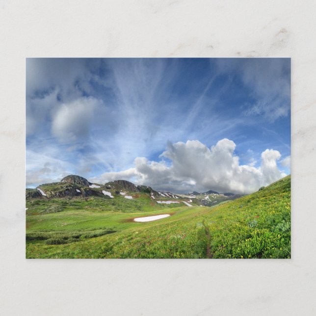 Continental Divide Meadow - Colorado Trail Vykort (Framsida)
