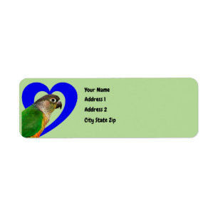 Conure hjärtaadressetiketter returadress etikett