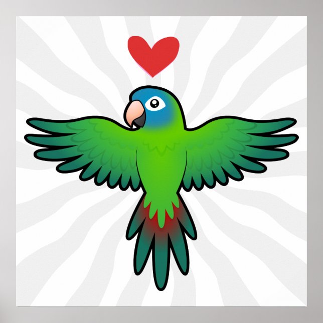 Conure / Lorikeet / Papegoja Kärlek Poster (Framsidan)