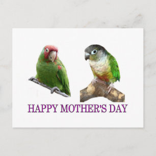 Conure Mors dag Vykort