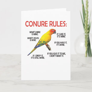 Conure Owner Conure Älskare Parrot Bird Sol Conure Kort