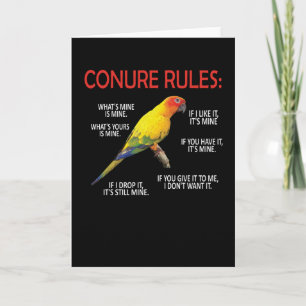 Conure Owner Conure Älskare Parrot Bird Sol Conure Kort
