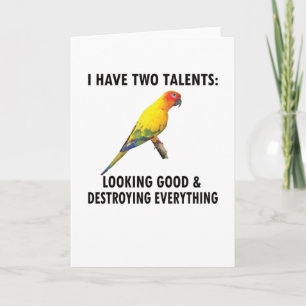 Conure Owner Gifts Conure Älskare Parrot Sol Conur Kort