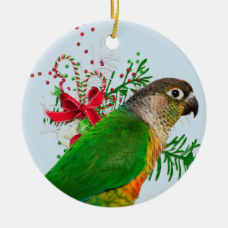Conure värme helgdagar julgransprydnad keramik