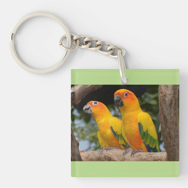 Conures nyckelring (Framsidan)